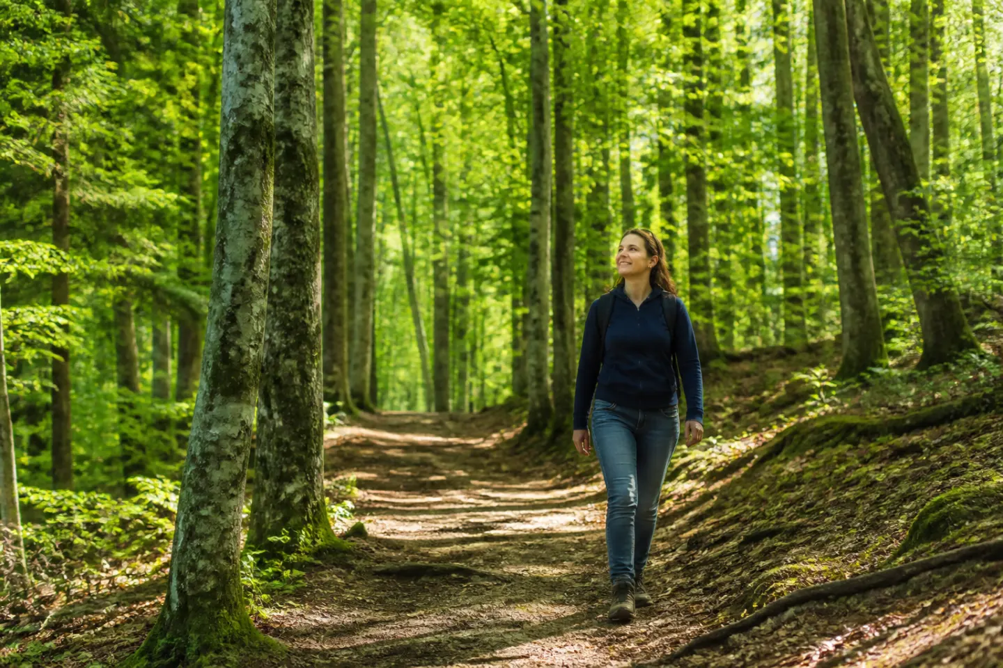 Comment la marche en forêt améliore la santé physique et mentale