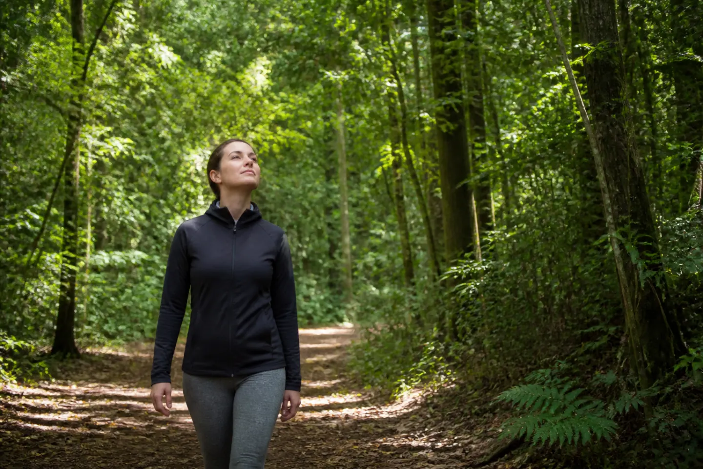 Comment la marche en forêt améliore la santé physique et mentale