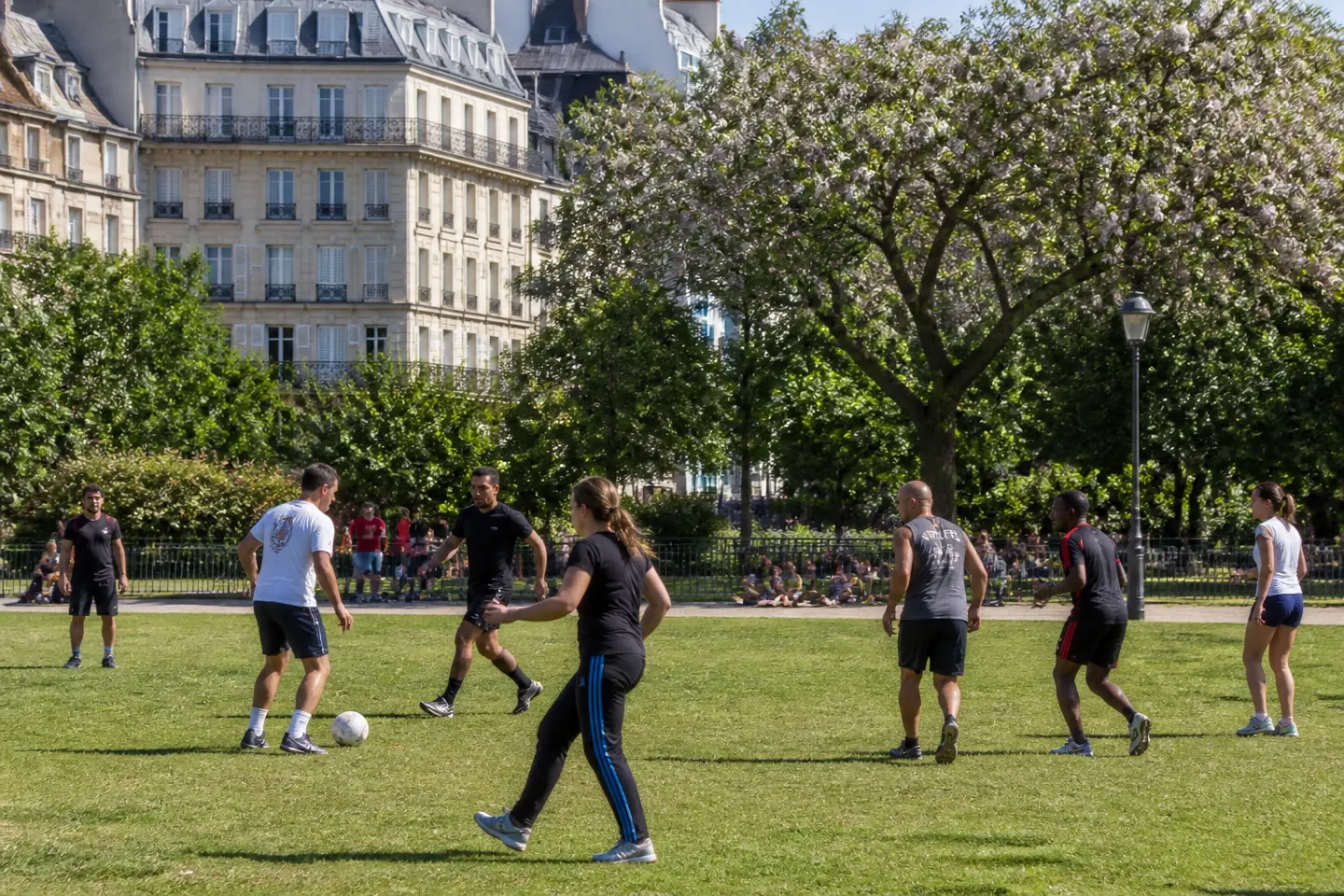 Quels sont les sports collectifs les plus populaires en France ?