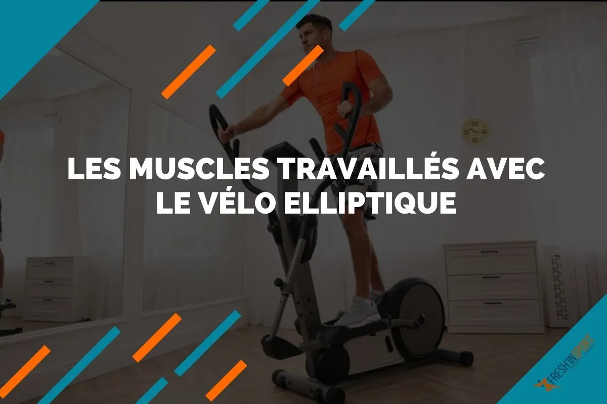 Les muscles travaillés avec le vélo elliptique
